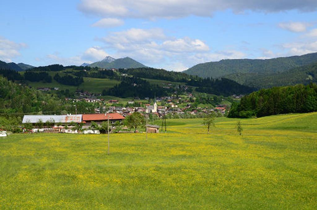 Appartement's Staffnerhof