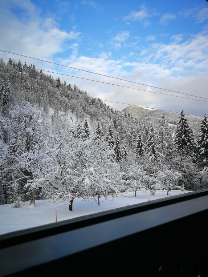 Appartement's Staffnerhof Appartement